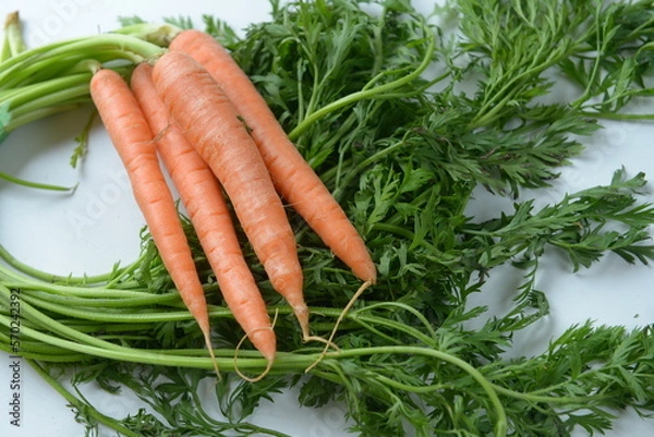 Fototapeta carott