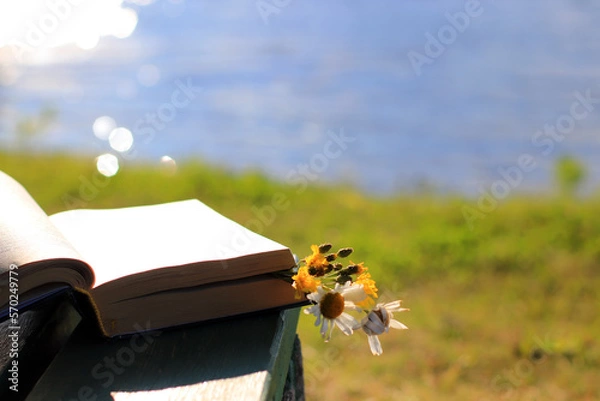 Fototapeta Beautiful bright summer natural background. A bouquet of wildflowers between the pages lies on a bench in the rays of the setting sun. recreation on the banks of rivers