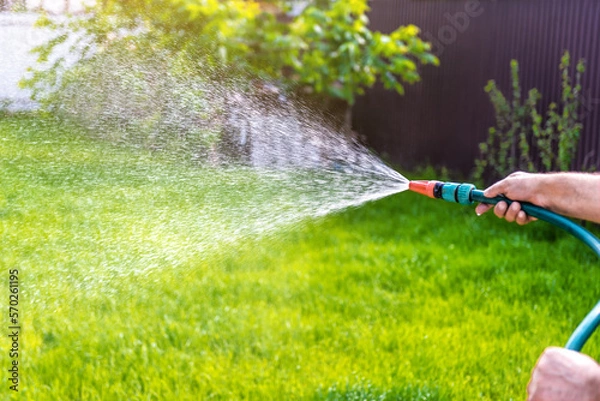 Obraz Gardener's hand holds a hose with a sprayer and watering grass