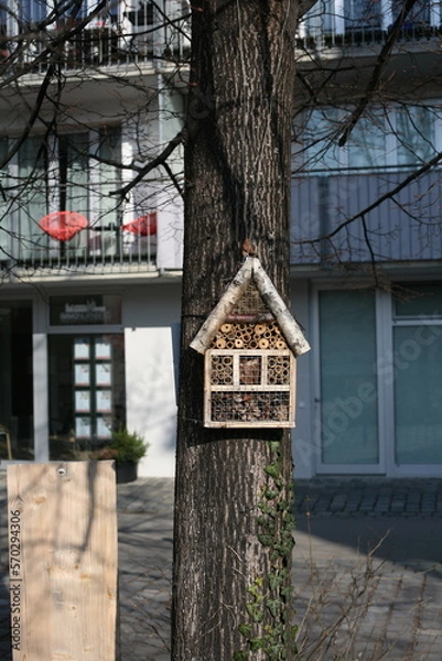 Obraz Insektenhotel
