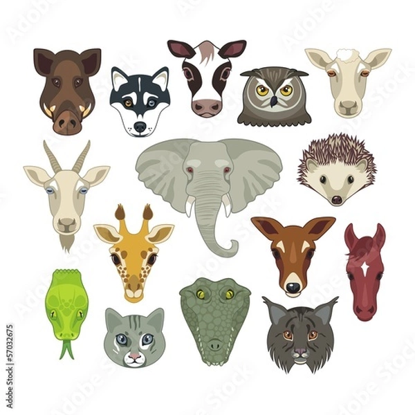 Obraz Animal Heads Set