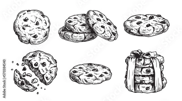 Fototapeta Hand drawn sketch style chocolate chip cookies set. Single whole and crumbled biscuits. Vintage retro ink style vector illustrations. Best for package and menu design. Isolated on white background.