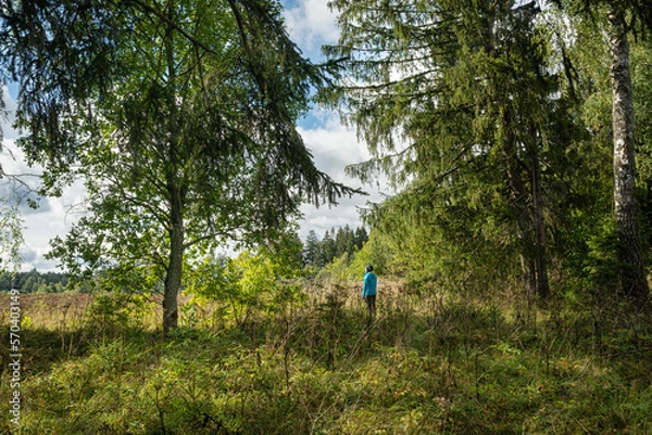 Obraz walking in the woods
