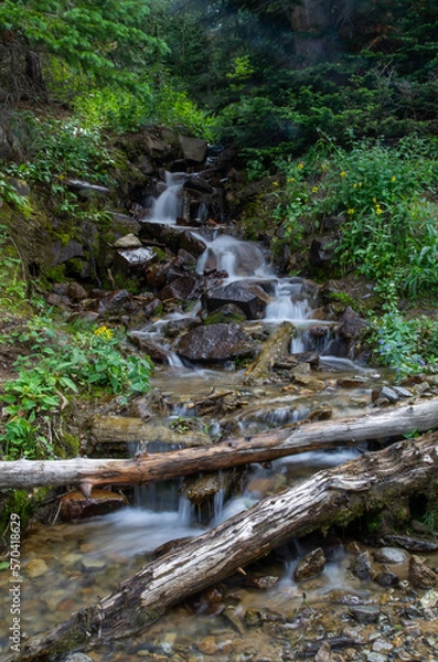 Obraz Cascading creek in forest flowing over rocks vertical photo