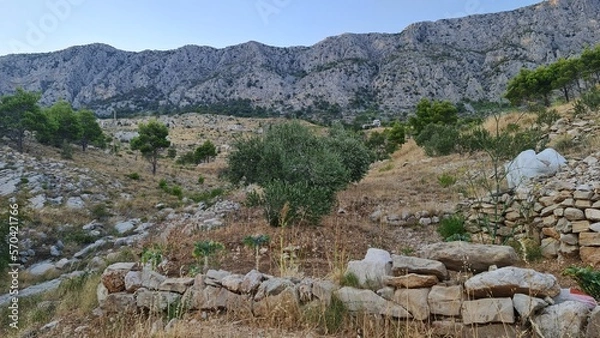 Obraz rocky mountain landscape