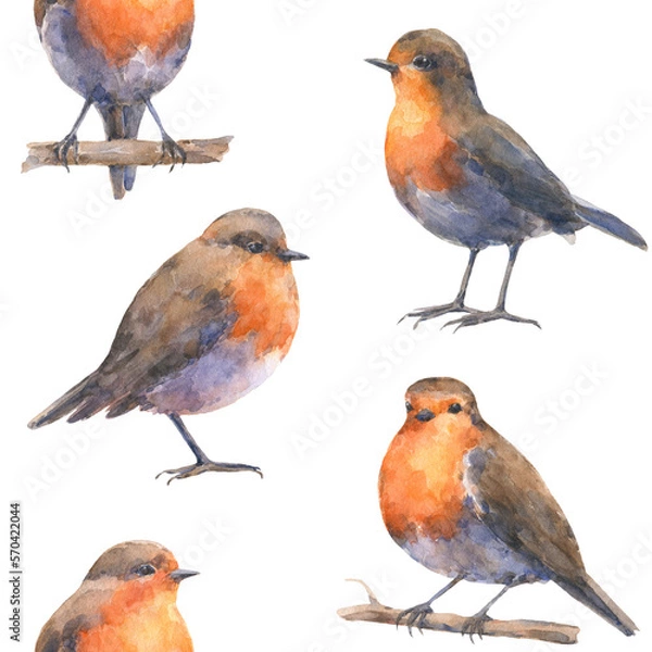 Obraz Seamless pattern with european robin bids