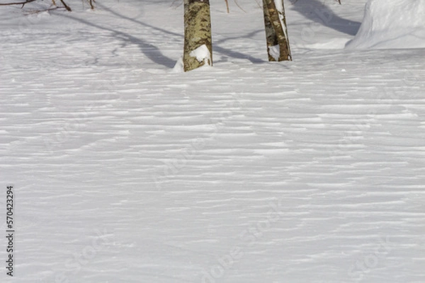 Fototapeta 冬の十和田湖 雪の道