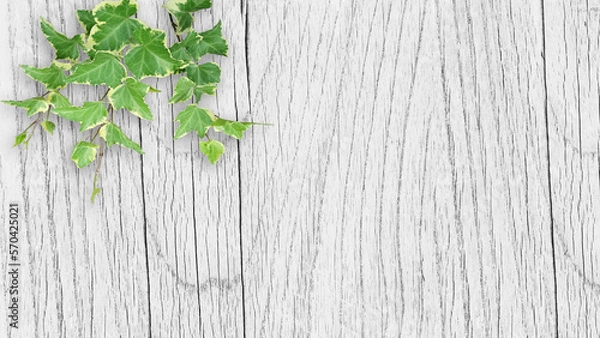 Obraz 木目背景とグリーン