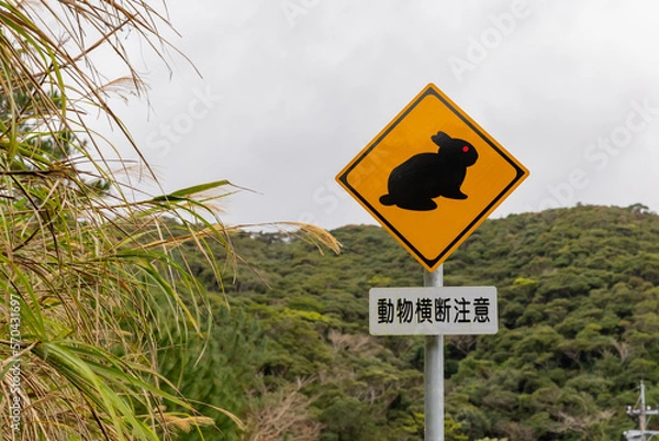 Obraz 奄美大島　警戒標識　アマミノクロウサギ