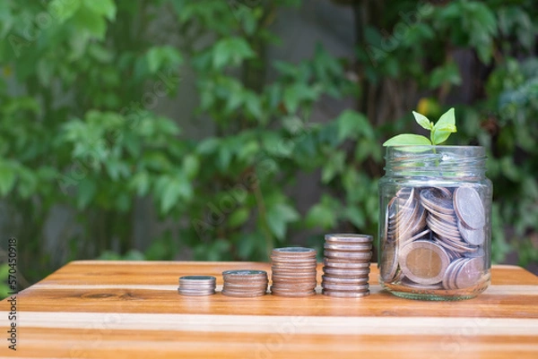 Fototapeta coin growing up with little plant on top of the jar , concept of money saving, banking and investment, with wooden table and green natural background