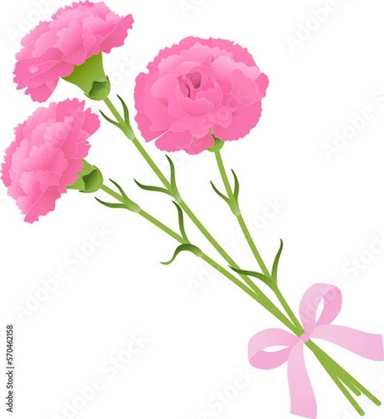 Fototapeta カーネーションの花束_ピンク_ベクターイラスト