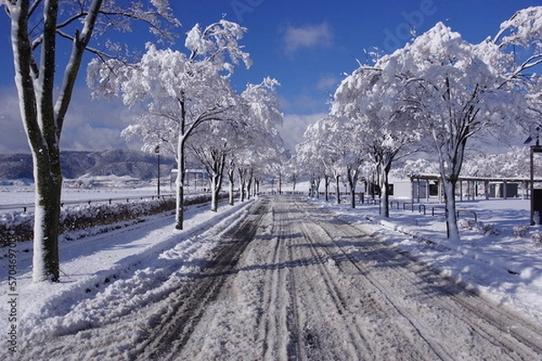 Fototapeta 雪の道　K3CP7879