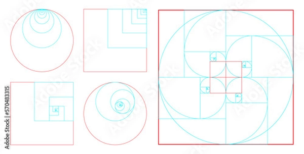 Fototapeta fibonacci ratio divine proportion isolated - 3d Illustration