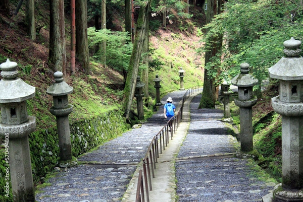 Obraz 京都の坂道