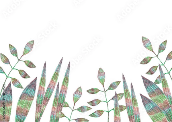 Obraz Plants on meadow hand drawn with colored pencils on white background