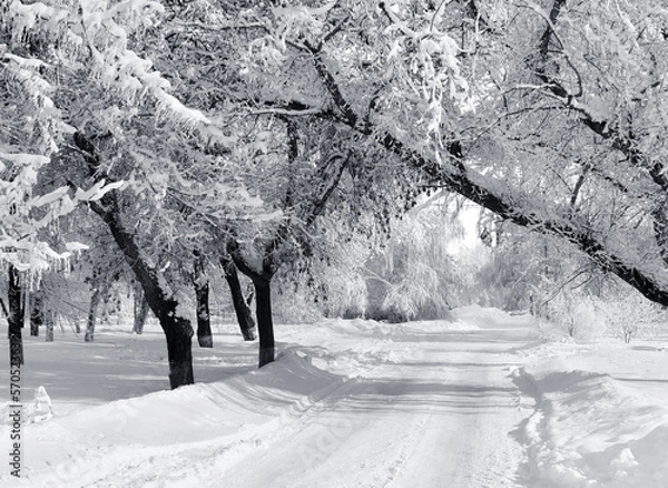 Obraz Winter Park, sceneria