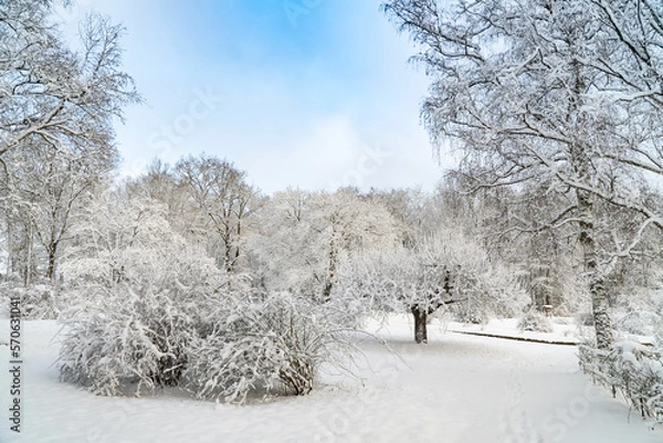 Fototapeta Winterlandschaft