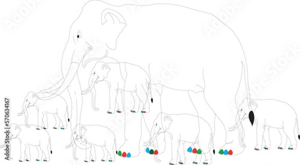 Obraz elephants design