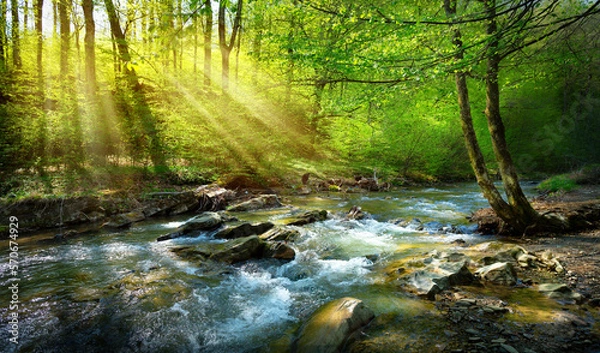 Fototapeta spring forest nature landscape,  beautiful spring stream, river rocks in mountain forest
