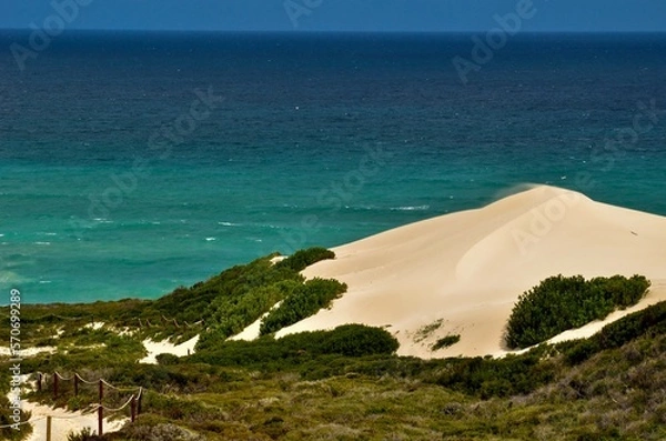 Obraz Düne Südafrika 