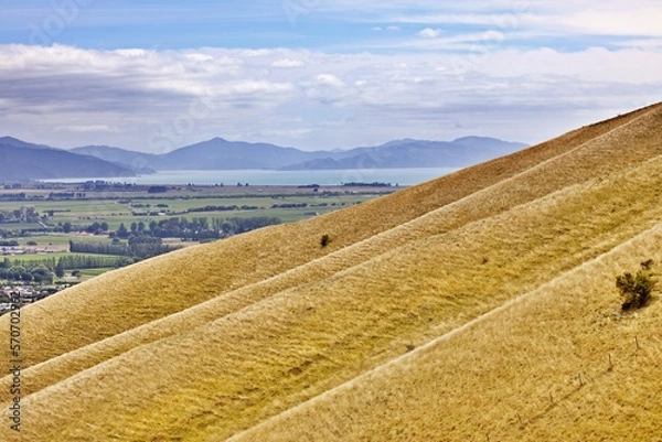 Fototapeta Hügelige Weidelandschaft