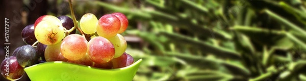 Obraz grapes and green background