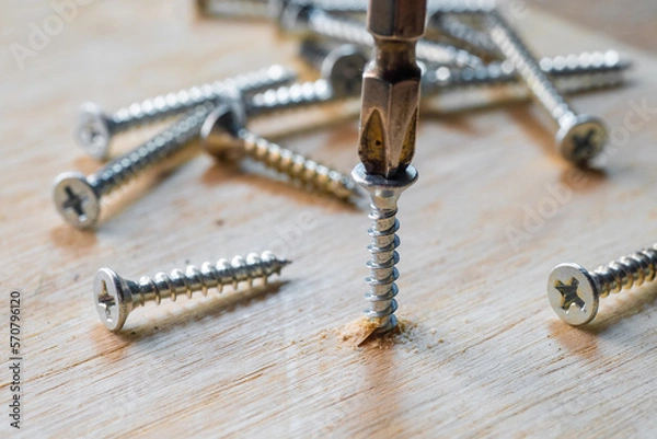 Obraz Screwdriver drill a screw into wood plank ,DIY maker and woodworking concept. selective focus