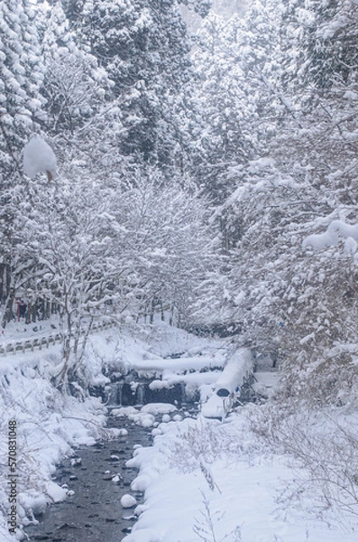 Fototapeta 雪の積もった川