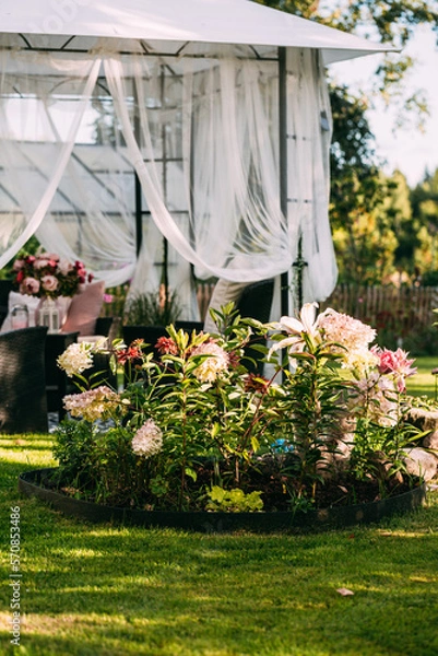 Fototapeta Backyard gazebo canopy tent lounge set relax zone in august, swedish garden