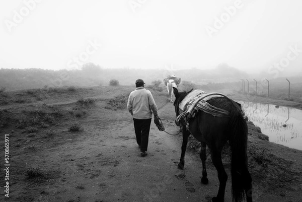 Fototapeta Untitled.1