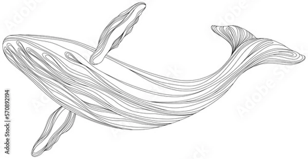 Fototapeta Abstract whale floating underwater. Illustration isolated animal on white background. Ocean mammal swimming.