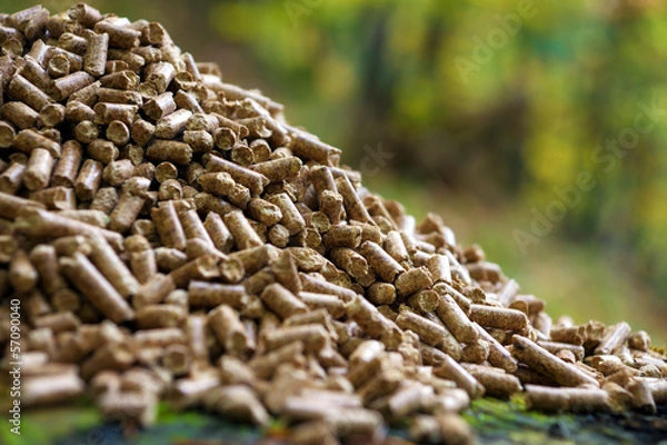 Obraz Wood pellets