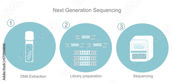 Fototapeta The important step of Next Generation Sequencing: DNA Extraction, Library preparation and sequencing for the analyzing of DNA sequence of target sample that represents in the blue and white icon.