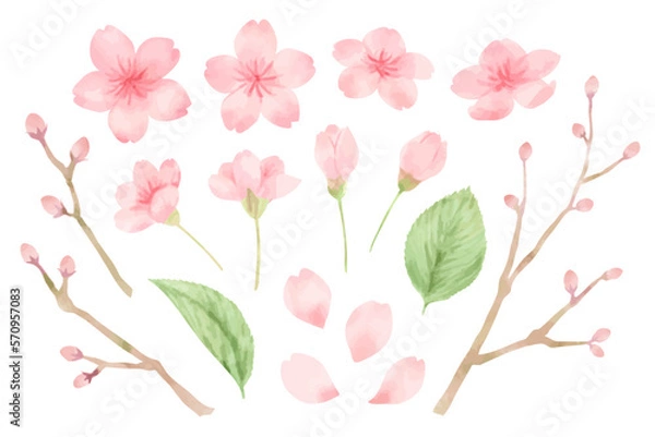 Obraz 桜の水彩風パーツイラストセット　主線なし、ベクター