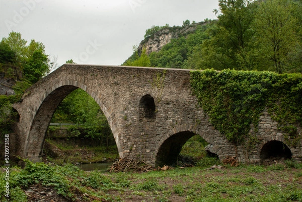 Obraz old stone bridge over the river