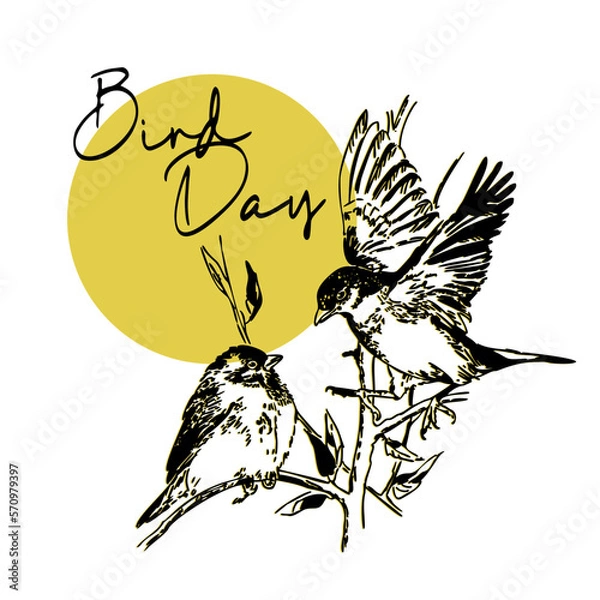 Fototapeta Vector illustration of the National Bird Day on a white background. Suitable for greeting card poster and banner. two sparrows are sitting on a branch. Drawing in linear style