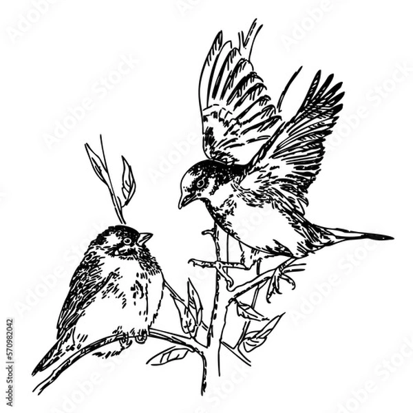 Fototapeta Two sparrows are sitting on a branch. Vector illustration of the National Bird Day on a white background. Suitable for greeting card poster and banner. Drawing in linear style