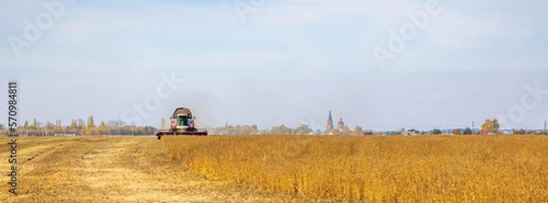 Fototapeta Combine Harvester Working in a Field on a Farm. Seasonal Harvesting the Wheat. Agriculture. 