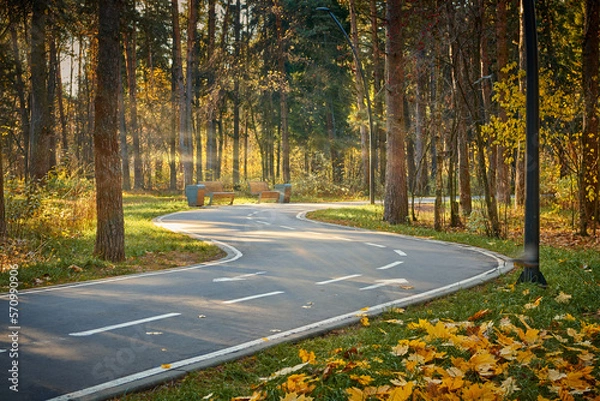 Fototapeta Asphalt footpath in fall park with gold fallen leaves. Sunny day in autumn forest at national park with curvy roadway. Road in forest. Scenic fall landscape of road through the park.