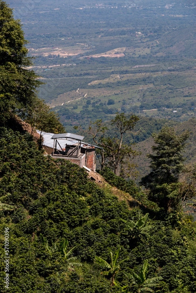 Obraz Casa típica cafetera en montaña
