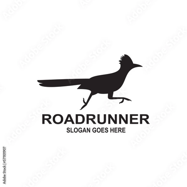 Obraz roadrunner bird logo icon vector