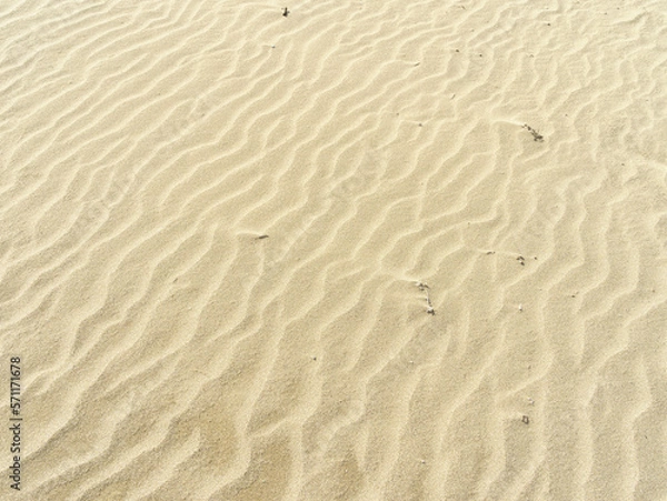 Obraz 波打つ砂浜