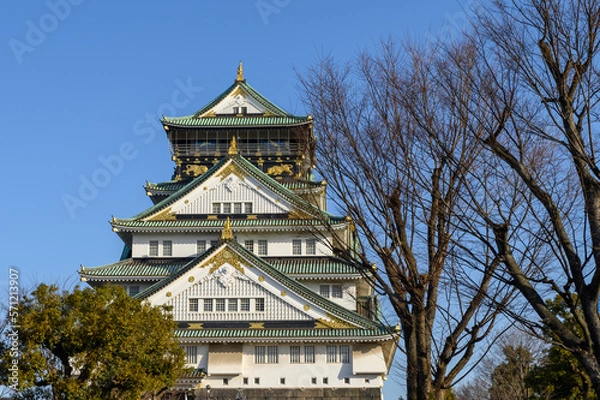 Obraz 大阪城天守閣
