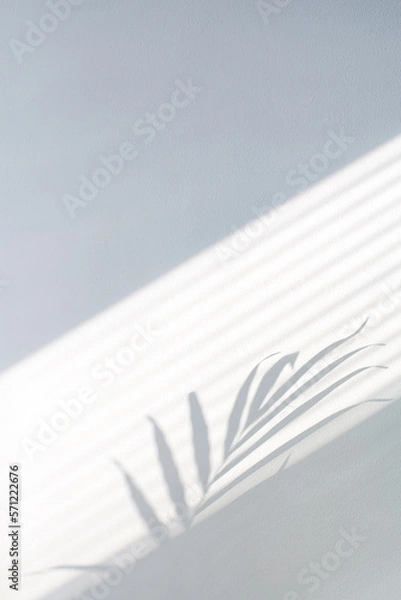 Obraz Tropical palm leaves with shadows on white concrete wall abstract blurred background. Minimal vertical scene for product display presentation