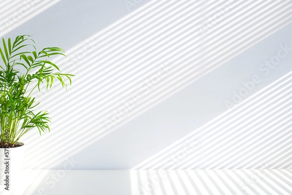 Obraz Tropical palm leaves with shadows on white concrete wall abstract blurred tropical background. Minimal scene for product display presentation