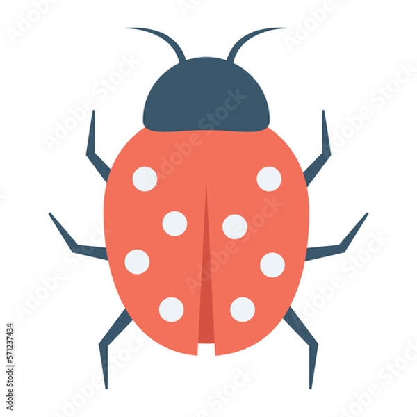 Fototapeta nature and ecology bug and animals