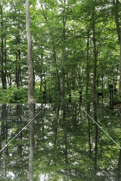 Obraz ガラスに映る新緑