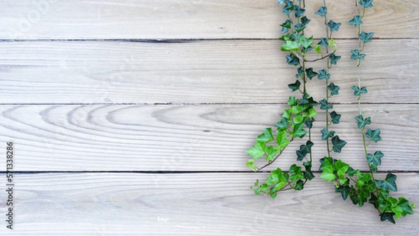 Obraz 木目背景とグリーン