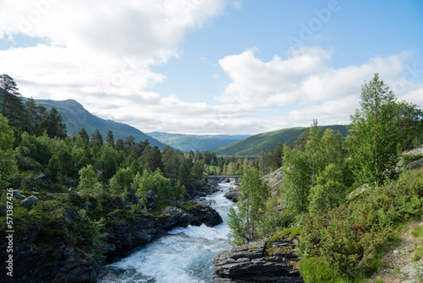 Obraz river in the mountains