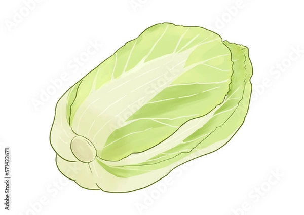 Obraz 白菜
